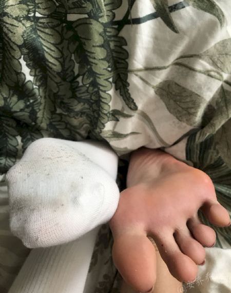 玫瑰旅馆