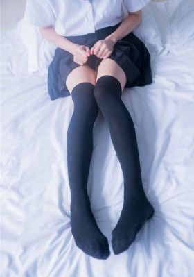 警花与警犬第2季免费看