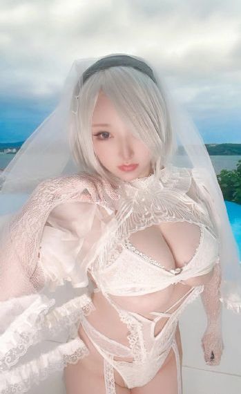 女友的妈妈3