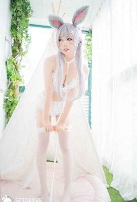 未来日记ova