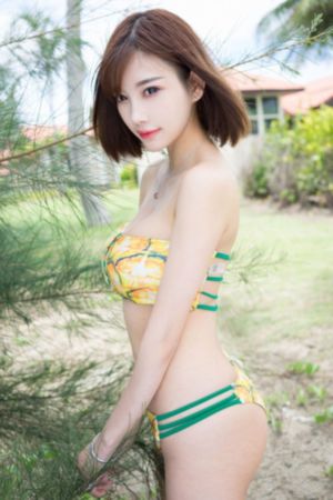 施公奇案 电视剧