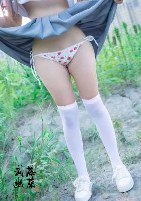 海鸥飞处彩云飞电视剧免费观看40