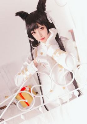 理智派生活电视剧免费观看完整版