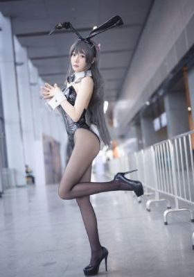 噼里啪啦免费在线观看
