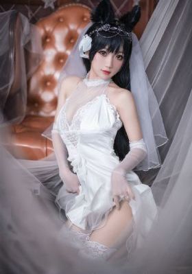 兄弟们开火电视剧免费看