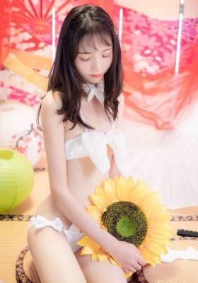 宣言电视剧26集完整版